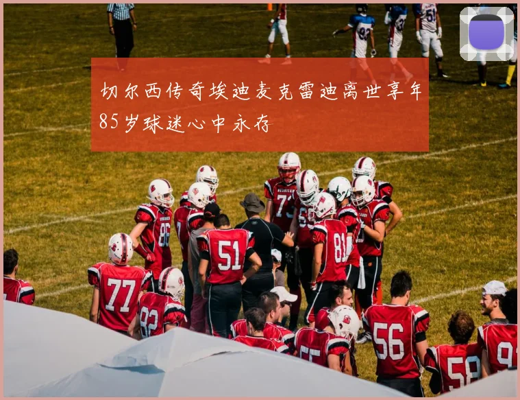切尔西传奇埃迪麦克雷迪离世享年85岁球迷心中永存