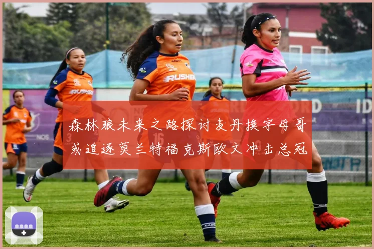 森林狼未来之路探讨麦丹换字母哥或追逐莫兰特福克斯欧文冲击总冠军